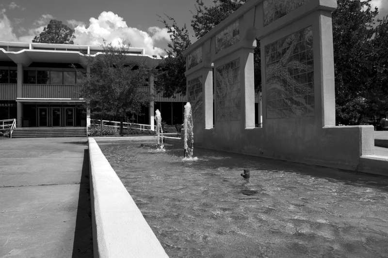Illustration for article titled I'm still new to photography but here are some pics I took today!